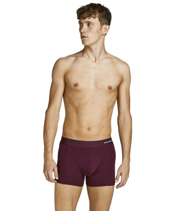 modell-jack-and-jones-vinrod-bambu-kalsong