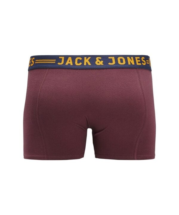 PLUS-SIZE-burgundy-bakifran