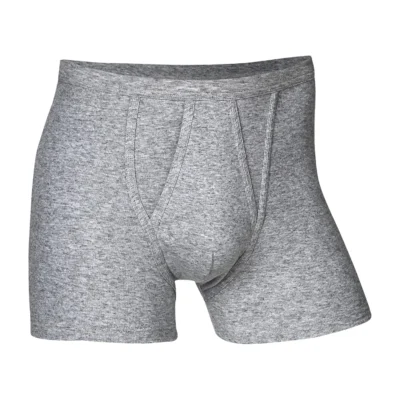 JBS Kalsonger Med Gylf 1-pack Bomull Grå