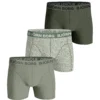 Björn Borg Kalsonger 3-Pack Bomull Grön Färgmix